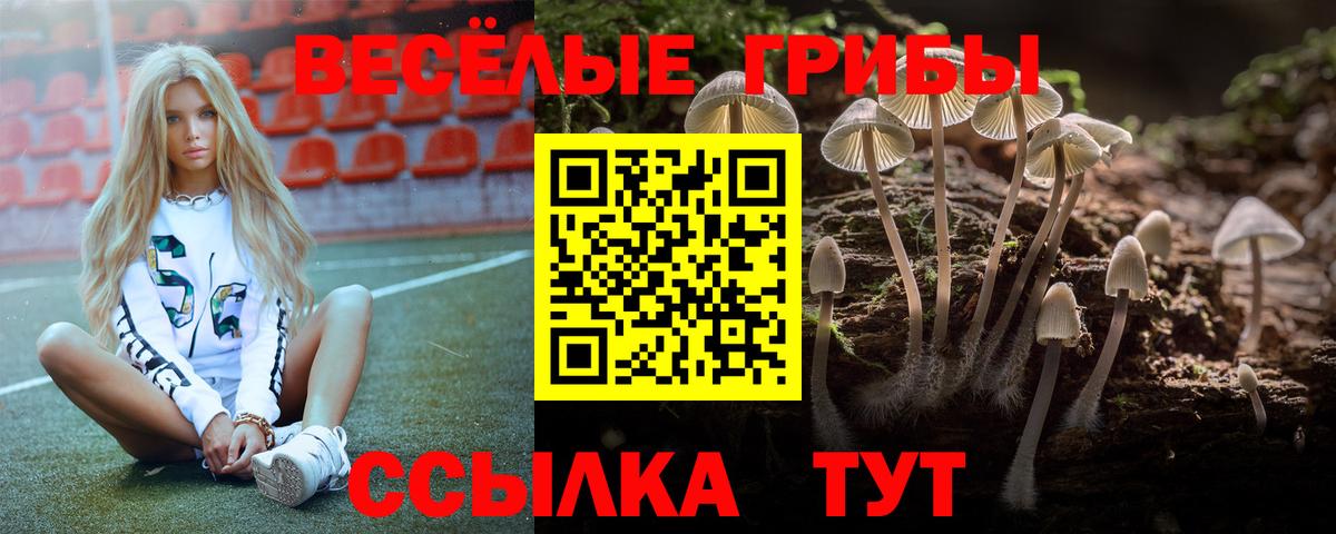 Псилоцибиновые грибы GOLDEN TEACHER Белорецк