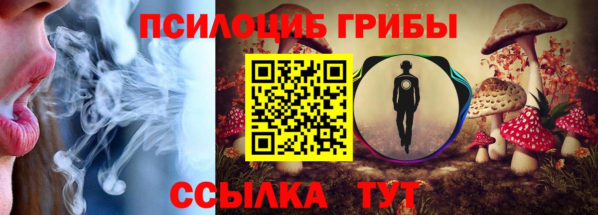 Псилоцибиновые грибы GOLDEN TEACHER  Вход с VPN  Псилоцибиновые грибы Cubensis  Белорецк 